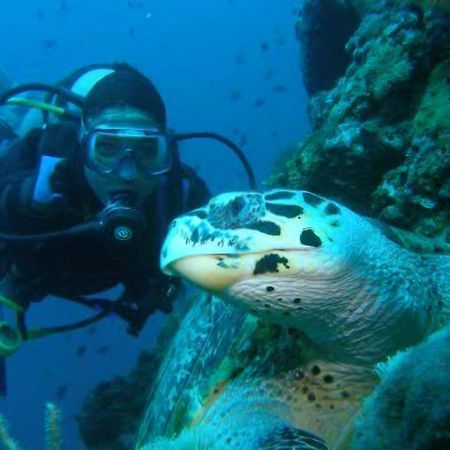 Nirvana Bamboo Houses & Dive Resort موالبوال المظهر الخارجي الصورة