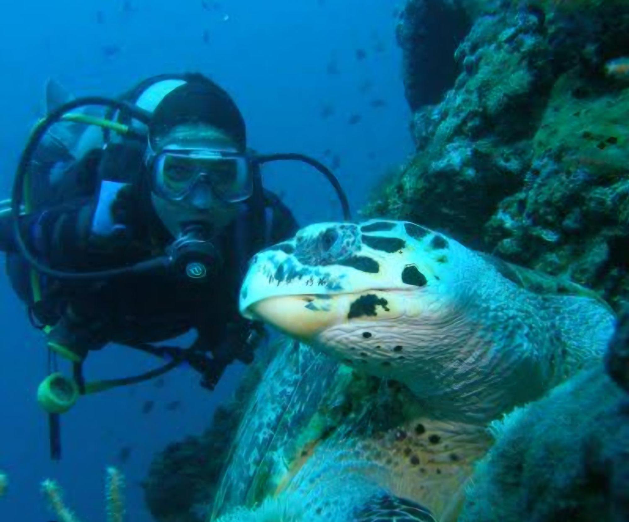 Nirvana Bamboo Houses & Dive Resort موالبوال المظهر الخارجي الصورة